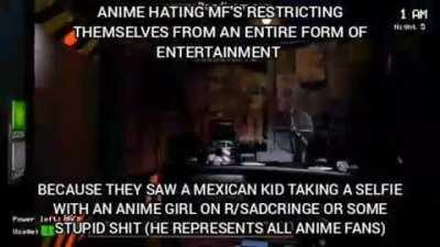 i dont like anime i liek TF2, fallout new Vegas and racial slurs