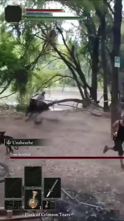 Tree Sentinel in real life