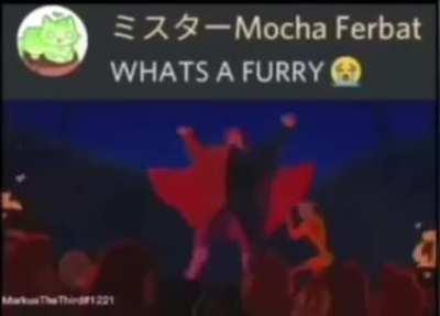 That's a furry