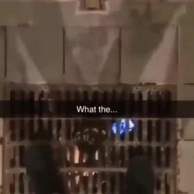 Average logbait user