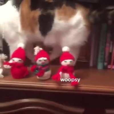 Just jealous for attention, so just getting rid of the competition