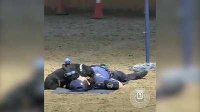 Doggo CPR demonstration