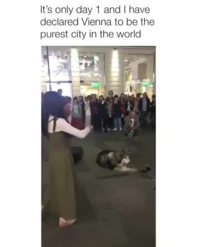 Genre : Violin Era :Unknown Artist: Unknown. I remember hearing this song in a piano game but forgot the name, thanks!