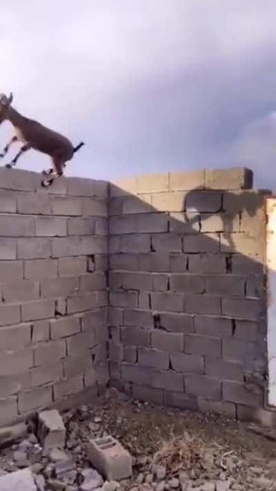 When you know physics