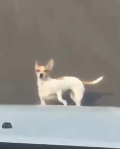 What .. you have a problem?