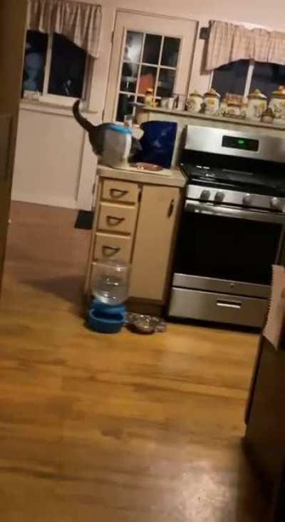 food all over the floor