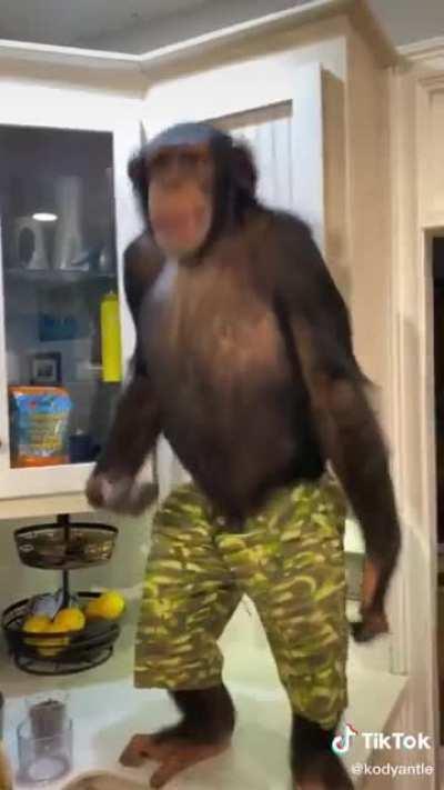 Peruano jumper 🤝🤝🤝