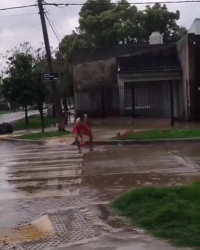 En un día de lluvia como hoy siempre es bueno volver a ver este video