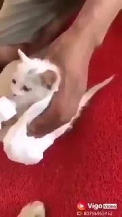 Mom, I brought a friend home to eat!