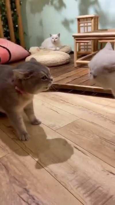 I told you I want to sleep, why are you bothering me