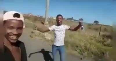 Eu não dou a foda para meua caninos vadia.