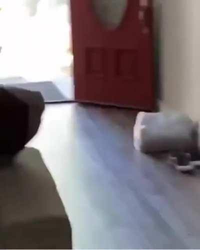 Ох, ты ж... Есть у кого-нить запасная башка? Эту, кажется, пора менять.