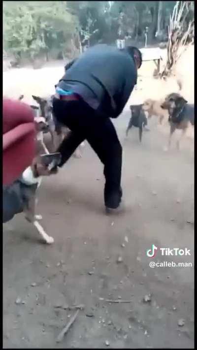 top 5 batalhas de anime