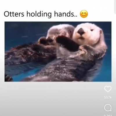 Otters