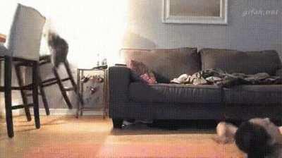 And then, sudden chaos