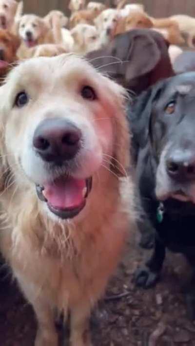 Are you ready for an adventure?