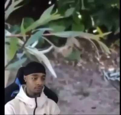 *Happy Dolphin Noises*