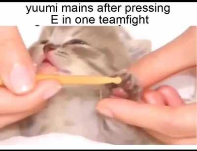 it's not much but it's honest work