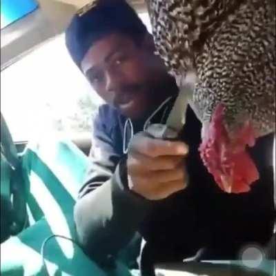 Lost to a chicken while he has a knife.