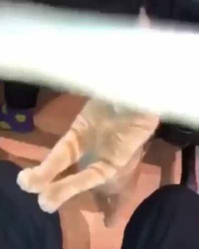 what is that smell? Is that weed?