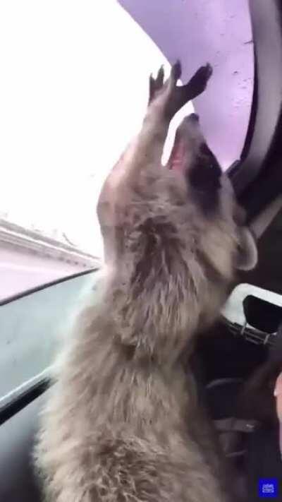 NGL, I still act like this