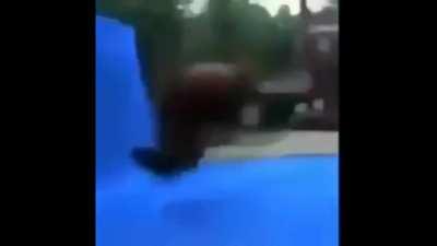 O'que dizer de ednaldo Pereira