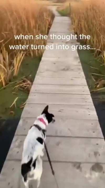 she must be surprised