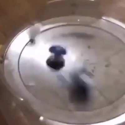 This power should be feared