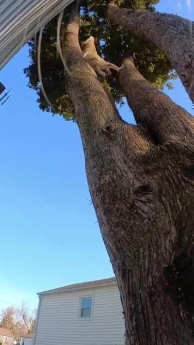 Hey, everybody check out my cam