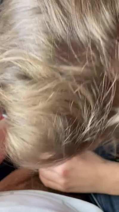 how I make my roommate happy. I'm not the best but I try to apply myself :)