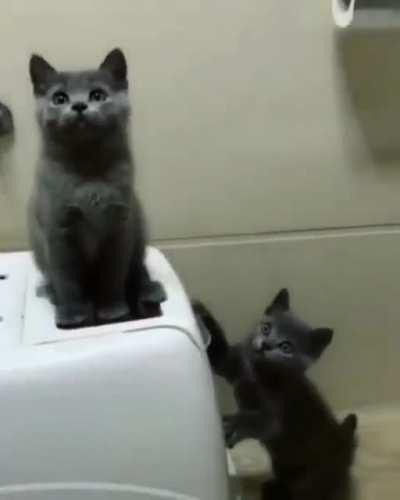 Look at them moovess