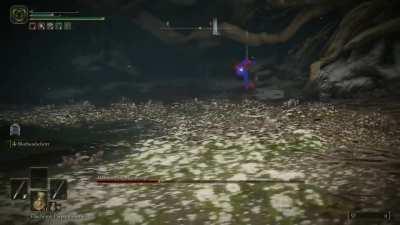 Waterfowl Dance hitbox visualized