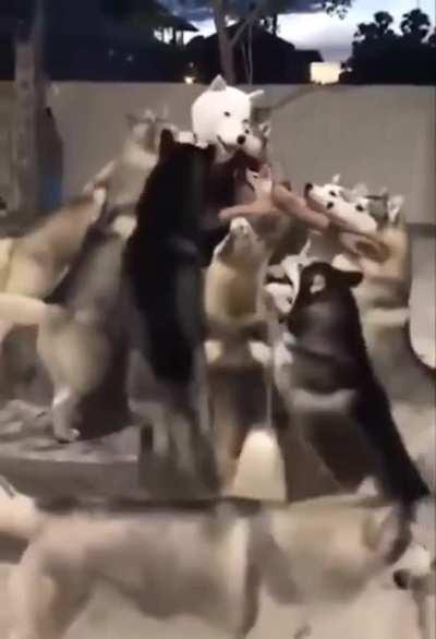 I don’t know what it is, but something definitely smells wrong about the new guy...