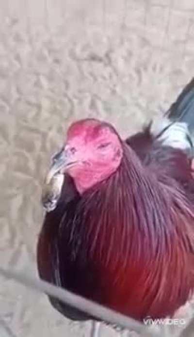 My boy is high af!!! 🤣🤣🤣