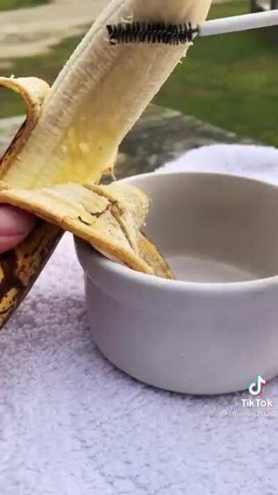 Just a cow living its best life <3 (saw on TikTok)