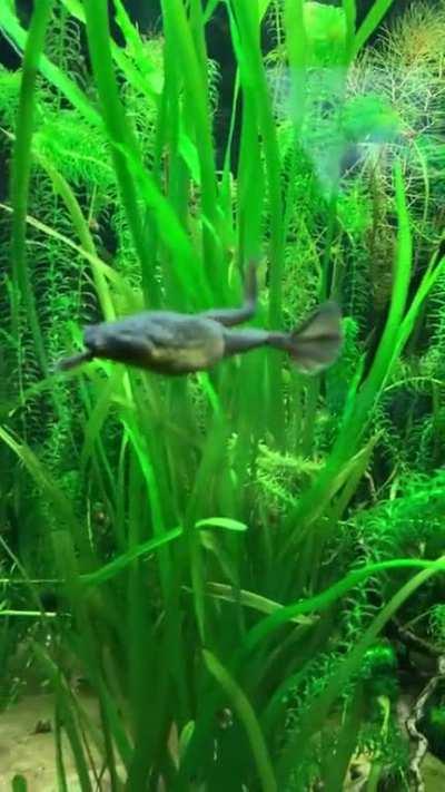 From the Reptile house at London Zoo