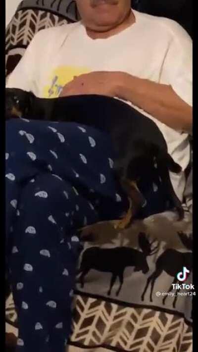 The dad who didn't want a dog at first