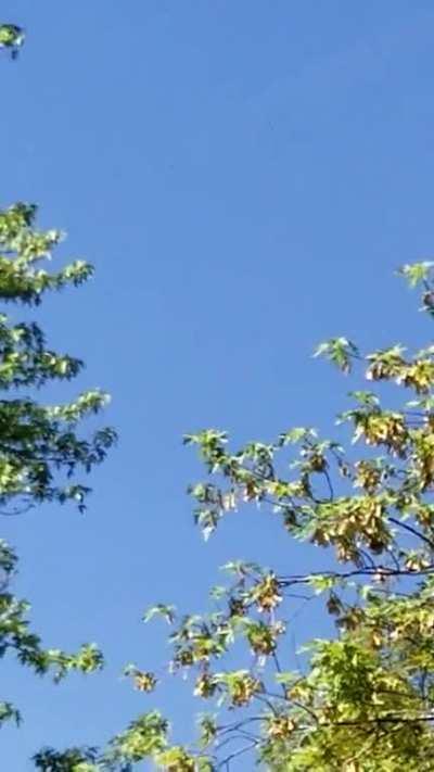 UFO in Griffith Indiana.. May 23 2018