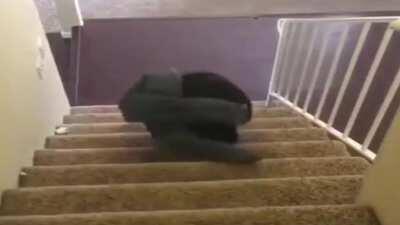 man deletes his computer