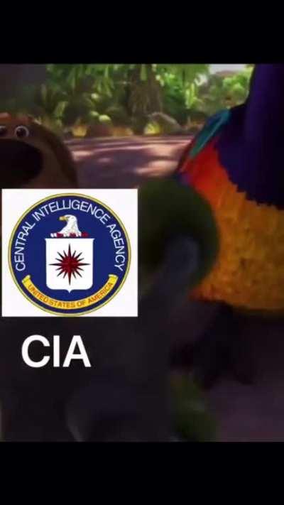 Basically how I feel on the government.