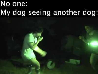 Marks a real top dog