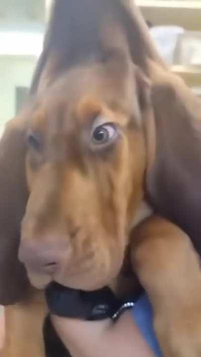 Date cuenta amigo...