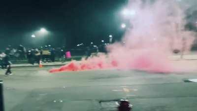 Boston protestors playing catch with pigs
