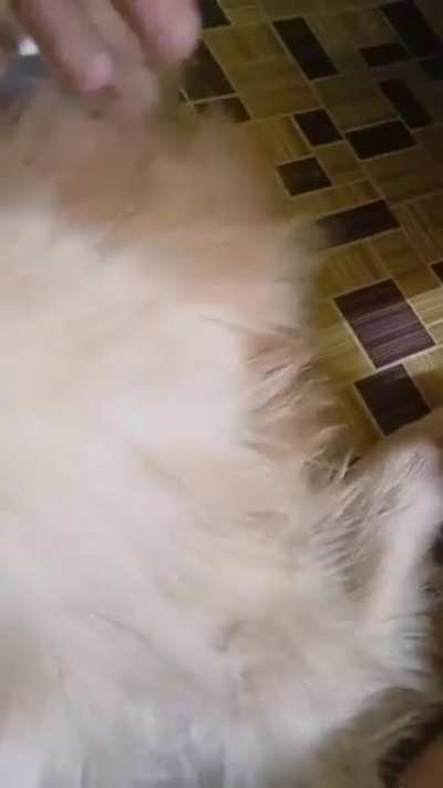 on popular demand...heres his vid.