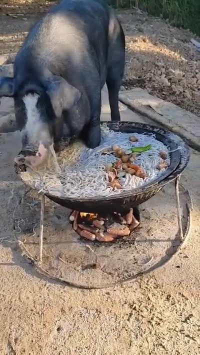 Just a big pig eating Chinese food 💀