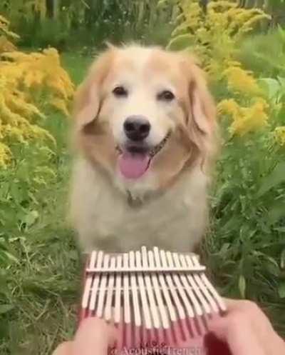 Here, take a break from all the loser this, loser that posts, and just be happy for a while, okay?