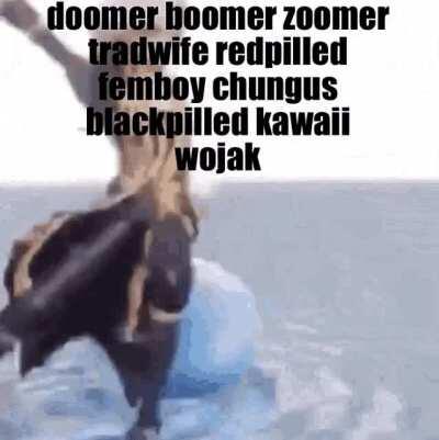 Hehe depressed twink go boing boing (Had to repost because GIF wasn't working)