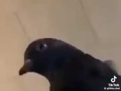 I'm 15 and this is yeet