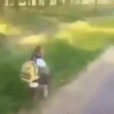 Please Appreciate the Monkey