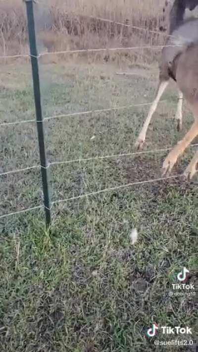 Idk bout you but I might have to